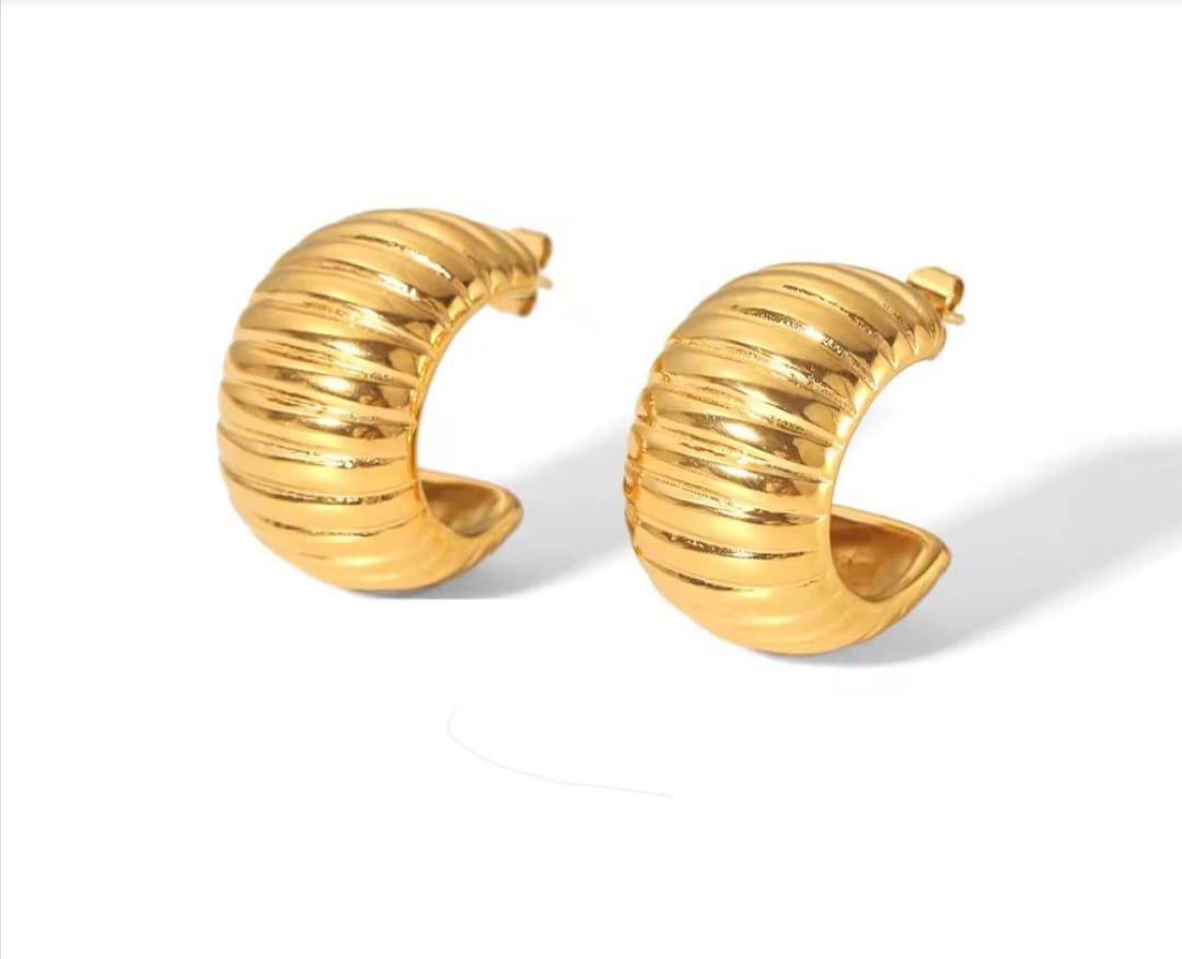 Snail Earings